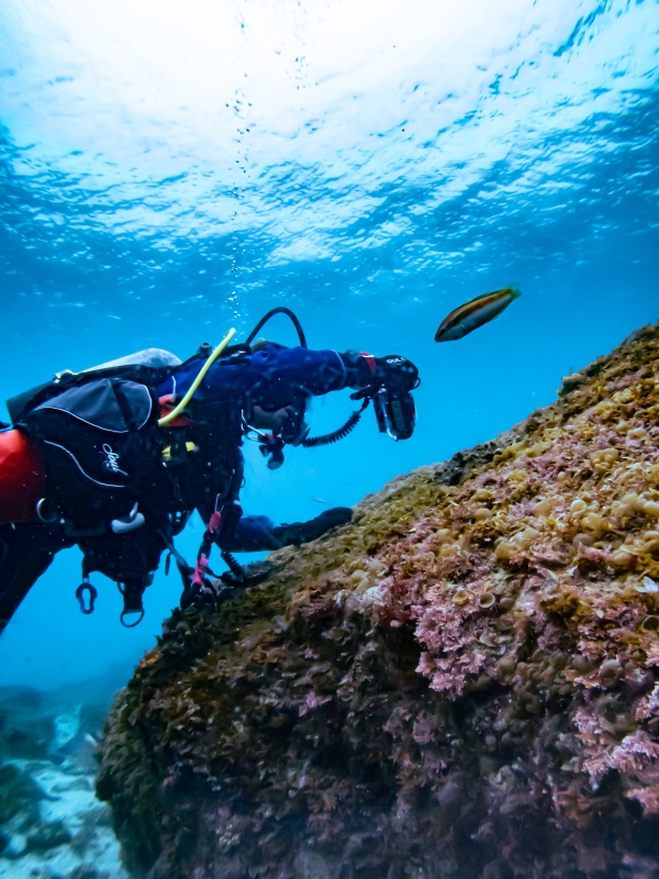 長崎 辰ノ口 ダイビング 貸切