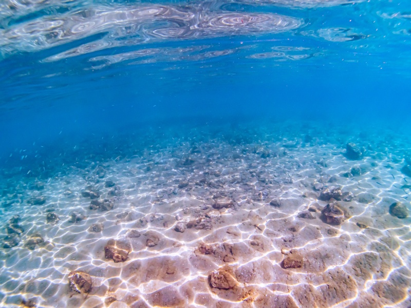 長崎 辰ノ口 冬のダイビング